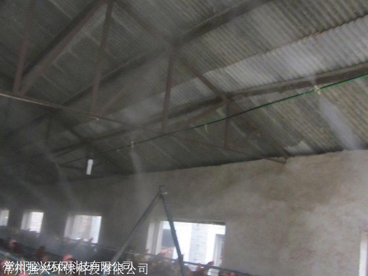 生物科技噴霧消毒通道 車間人員消毒通道 常州強興水系人造霧